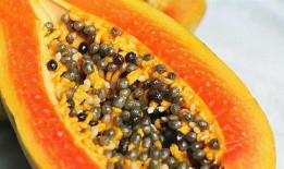 缅北小孩吃瓜视频真实,揭开神秘食文化面纱