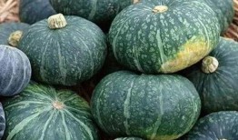 大栗子吃瓜,揭秘瓜界奇闻轶事