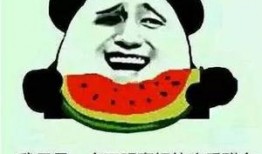 吃瓜的微信名