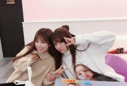 教科书吃瓜小组,揭秘校园里的趣味学习生活