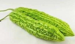 100个吃瓜,揭秘100种瓜果的奇妙世界