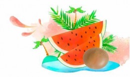 吃瓜小小,揭秘娱乐圈背后的那些事儿