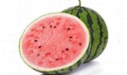 开裂瓜可以吃吗,安全食用指南与营养分析