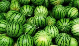 入伏吃瓜,传统习俗中的“入伏吃瓜”趣谈