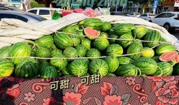 当下吃瓜,最新吃瓜大事件，带你领略明星幕后风云