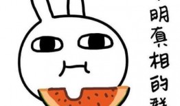 抄作业带你吃瓜,揭秘校园里的那些“瓜”