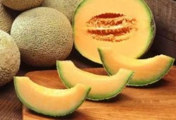 寒体质差可以吃哈密瓜吗