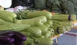 鸡瓜不能和什么吃,揭秘哪些食材不宜同食