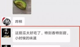 吃瓜pen网站,带你领略网络热点的魅力与真相