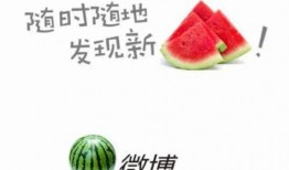 吃瓜肥皂,网络热词背后的文化现象