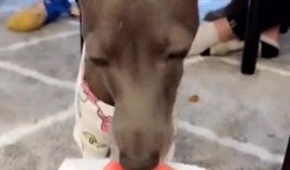 喜欢带吃瓜表情的人,吃瓜群众眼中的生活百态