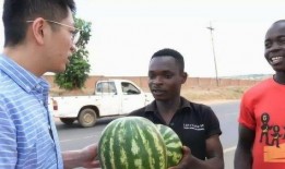 瓜不能随便吃视频,揭秘不能随便吃的瓜类真相