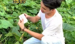 我天天吃瓜种田,乐享田园生活