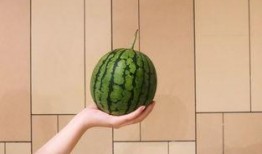 青海甜水井吃瓜,瓜果飘香，夏日避暑胜地探秘