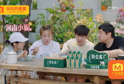 沈老师吃瓜,揭秘娱乐圈幕后故事