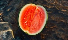 吃瓜伊人,揭秘娱乐圈背后的真实故事