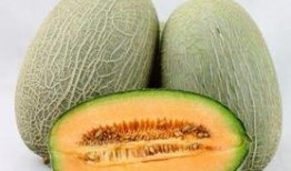 吃避孕可以吃哈密瓜吗,哈密瓜能吃吗？营养与安全解析