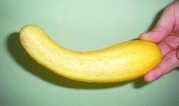 瓜变黄可以吃吗,能否食用揭秘”