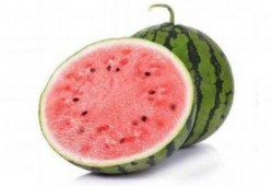 吃麒麟瓜舌头,探寻神秘果实的秘密