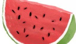 只吃瓜皮不吃瓜,揭秘只吃瓜皮不吃瓜的独特饮食习惯