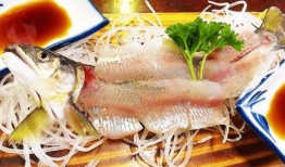 带你吃瓜解说鱼类,揭秘鱼类的多样世界