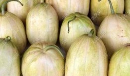 哺乳期可以吃捎瓜吗,哺乳期妈妈适宜食用捎瓜的温馨指南