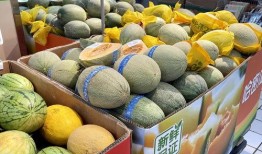 成都直播吃瓜,一场美食与娱乐的盛宴