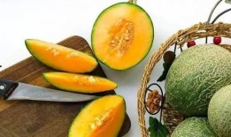 为什么热闹吃瓜,探究社会舆论的狂欢与反思