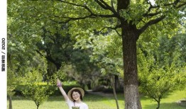 怀念吃瓜的夏天拍照,重温那段吃瓜时光