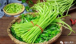 蒿爸吃瓜视频,揭秘娱乐圈幕后故事