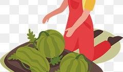 小人吃瓜图片大全,小人吃瓜图片大全趣味盘点