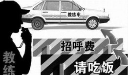 金乡吃瓜灵通驾校