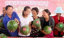 内黄吃瓜群,揭秘乡村生活趣味与智慧