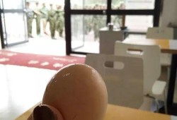 广职吃瓜