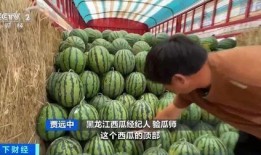 怀化学院吃瓜,揭秘校园美食风云录