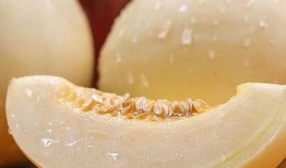 梦见吃没甜味的瓜,吃无甜味瓜的寓意与启示