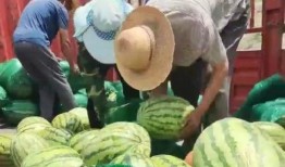 甘肃吃瓜跑友,跑动中的休闲时光