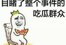 吃瓜群众许昕,赛场内外的人生百态