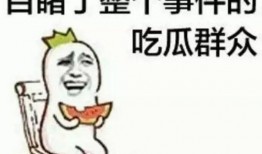 吃瓜群众许昕,赛场内外的人生百态