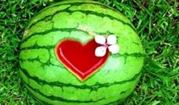 梦见自己吃瓜里东西,揭秘梦中吃瓜的神秘寓意