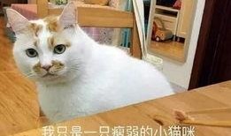 吃瓜群众的感慨,娱乐圈风云再起，揭秘明星幕后故事