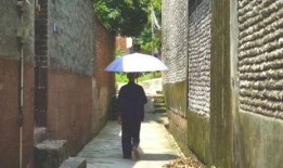 盘山吃瓜群众事件,一场网络舆论的风暴与反思