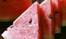 智慧的吃瓜,洞察世间百态