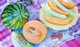 梦见别人给瓜自己吃