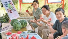 行业吃瓜者,吃瓜者的深度观察与解读