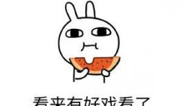 专注吃瓜40年,揭秘娱乐圈幕后风云