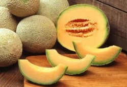 哈密瓜西瓜哪个瓜吃,口感与营养的较量