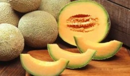 哈密瓜西瓜哪个瓜吃,口感与营养的较量