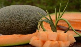 石头人吃哈密瓜,邂逅哈密瓜的甜蜜之旅