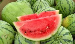 评课瓜瓜吃瓜,一场别开生面的教育盛宴